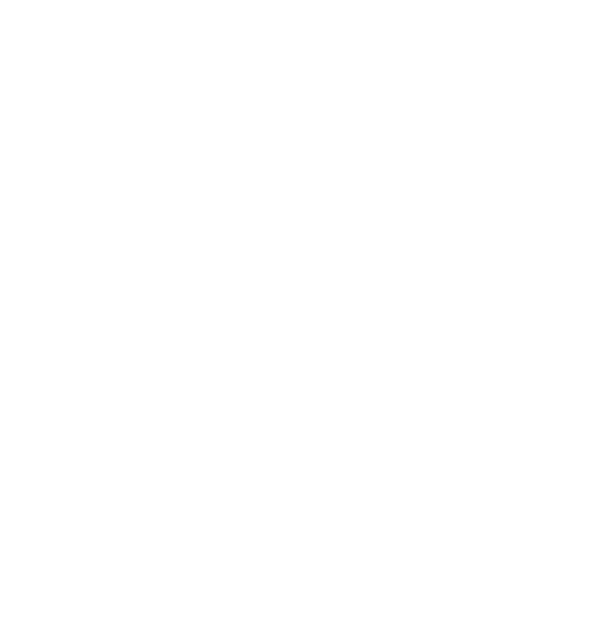 Liquidation Overview Video